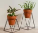 Garden Metal Plant Stand Wholesaler In Boriwali Mumbai