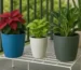 Popular Flower Pot Dealers In Borivali West, Mumbai