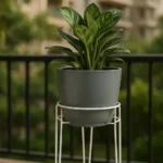 Popular Flower Pot Stand Manufacturers In Borivali West, Mumbai