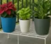 Top Garden Plant Stand Manufacturers in Mumbai near me